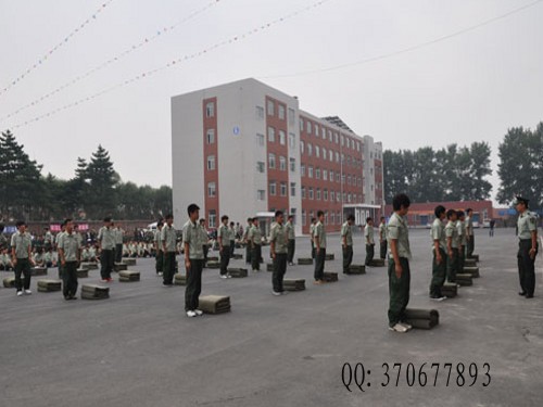 点击在新窗口中打开图片